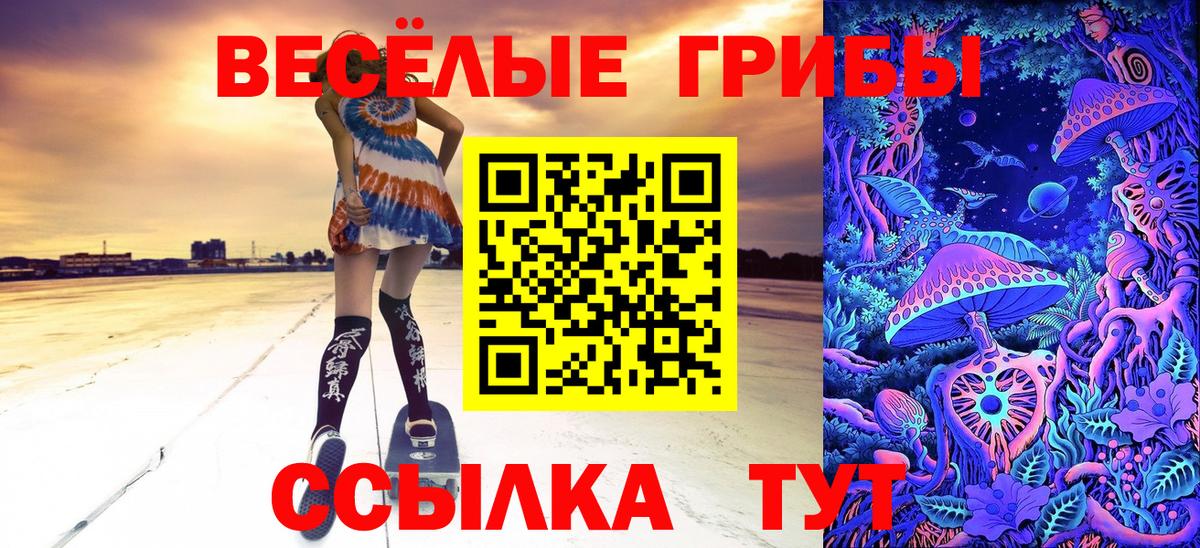 Галлюциногенные грибы Psilocybe  Псилоцибиновые грибы мицелий  Вход с VPN  Каспийск 