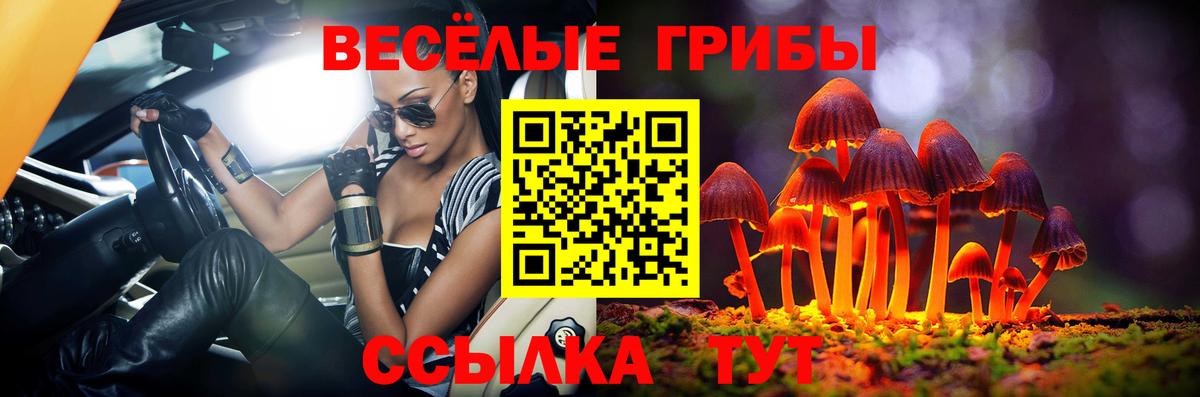 Псилоцибиновые грибы Psilocybine cubensis Каспийск